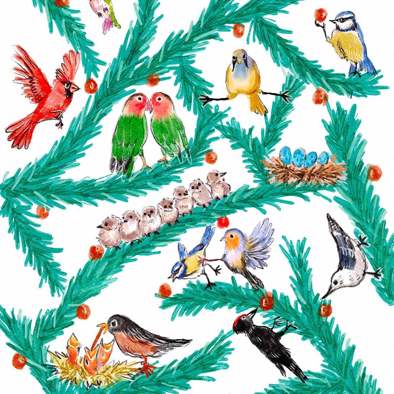 Backyard Birds Funny Christmas Card Set - Funny Bird Holiday Card - Bird Lovers Gifts