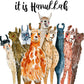 Llamas Funny Hanukkah Cards Set - Alpaca Chanukah Cards - Handmade Greeting Cards By Liyana Studio