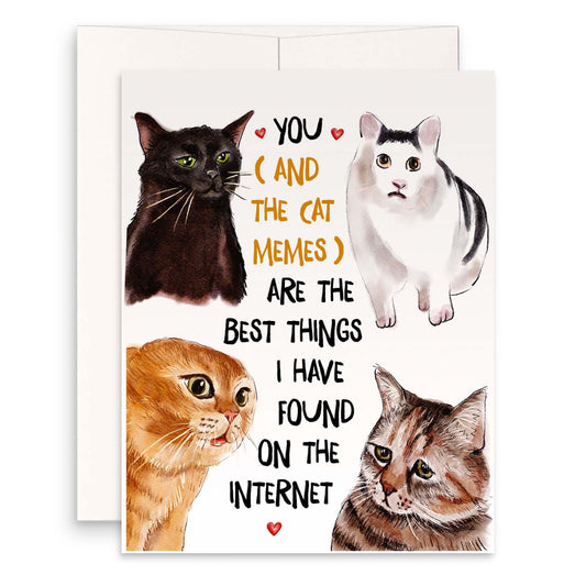 Cat Meme Funny Valentines Day Card For Husband - Internet Online Dating Anniversary Card For Boyfriend - Liyana Studio Handmade Greetings