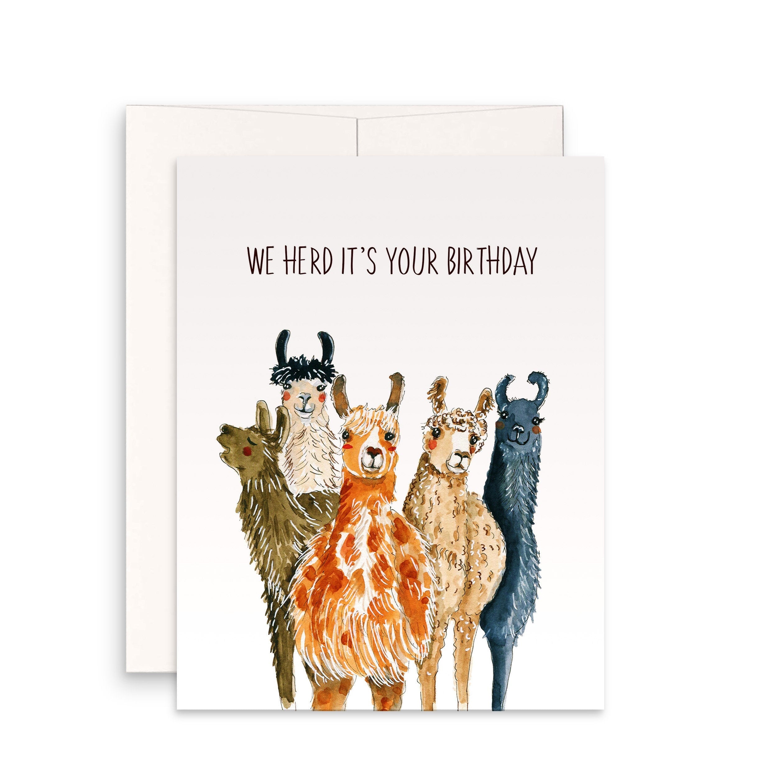 Funny Birthday Cards llama Birthday Card For Friends Alpaca