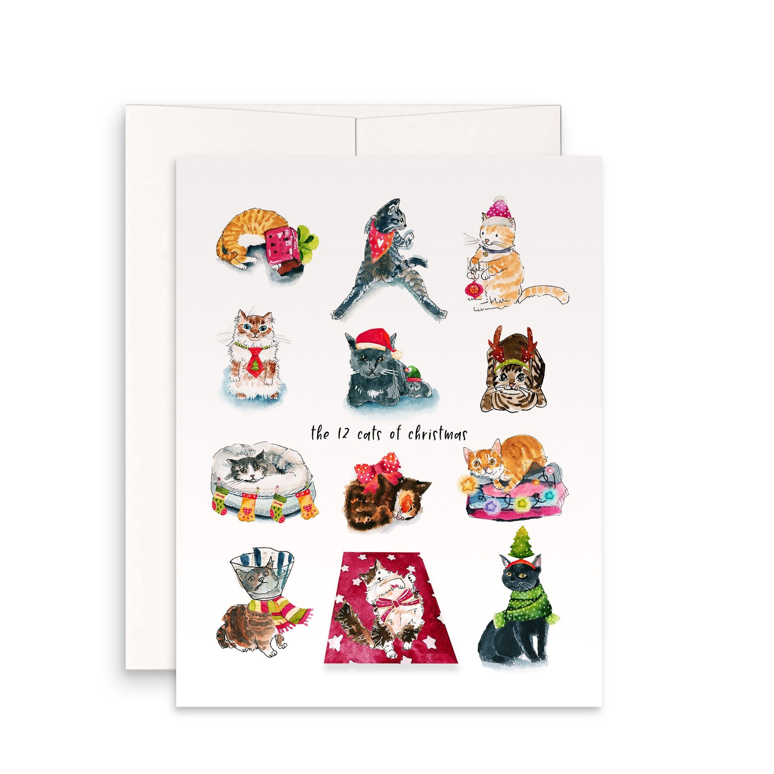 Funny Cat Christmas Cards - 12 Days Of Christmas For Cat Lovers ...