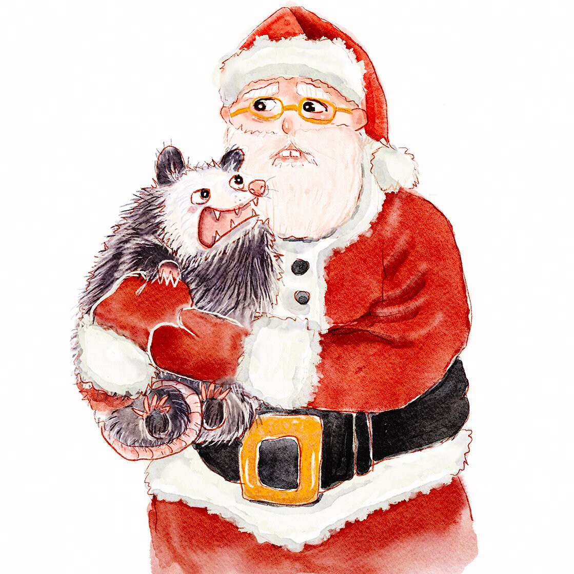 Possum Meets Santa Funny Christmas Card Set - Funny Holiday Gifts